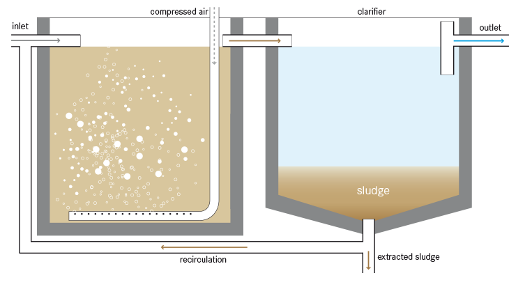 Activated Sludge