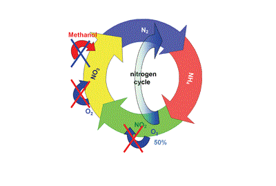 Nitrogen Removal Basics