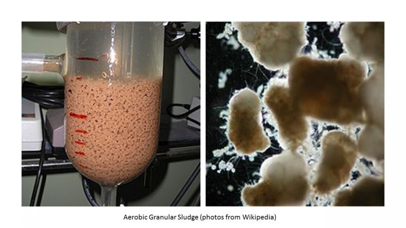 aerobic-granular-slduge-for-blog_orig.jpg