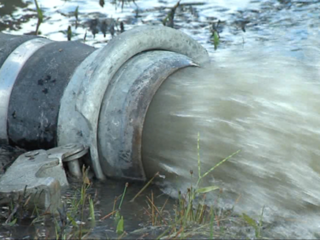 USF Researchers Find Dangerous Bacteria After Sewer Spills