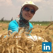 Maha Elbana, Lecturer, soil physics and irrigation management