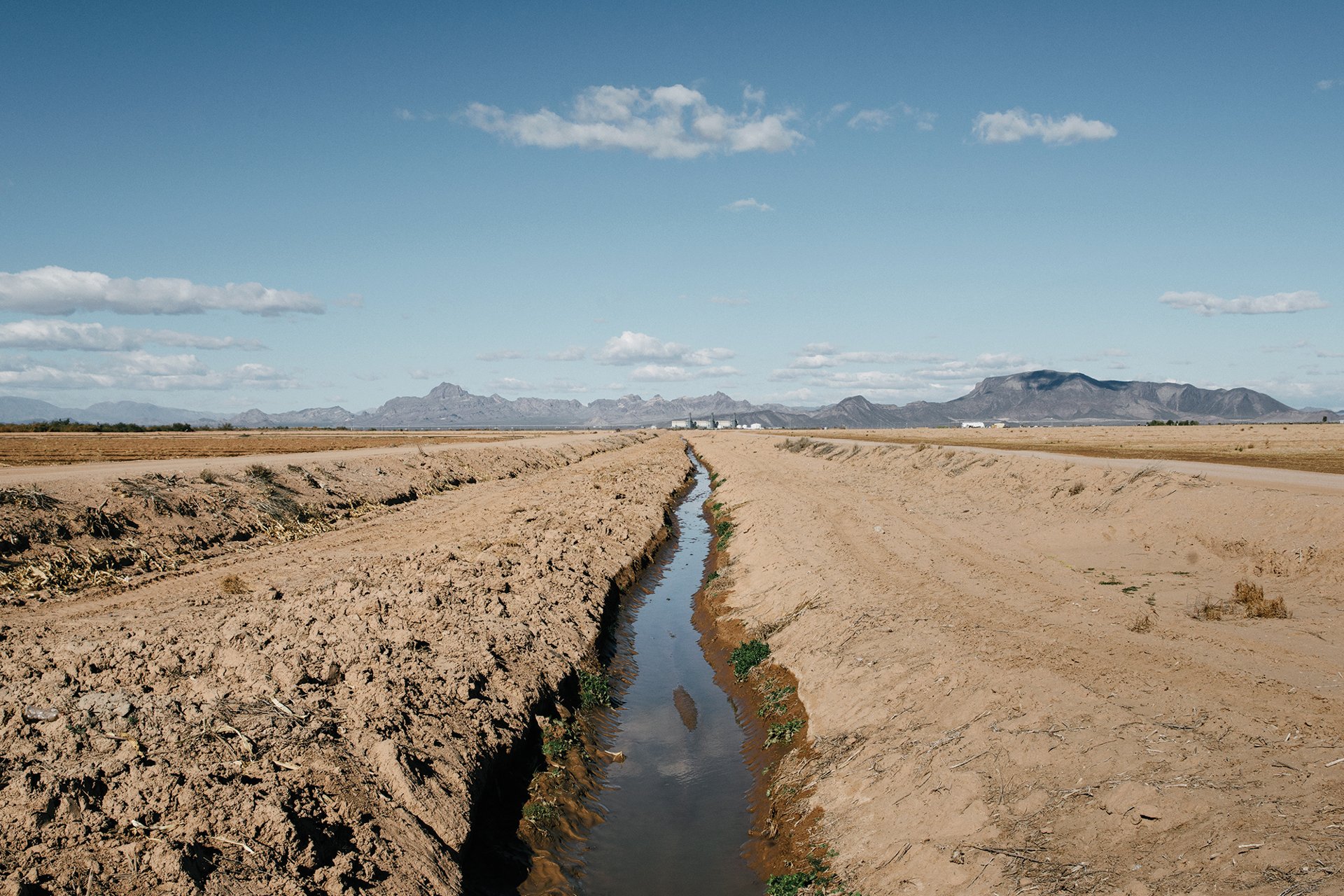 A Free Plan to handle Drought