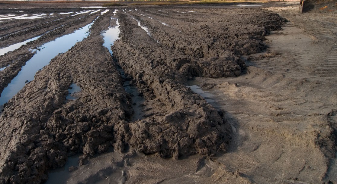 Reducing the Sludge Disposal Costs