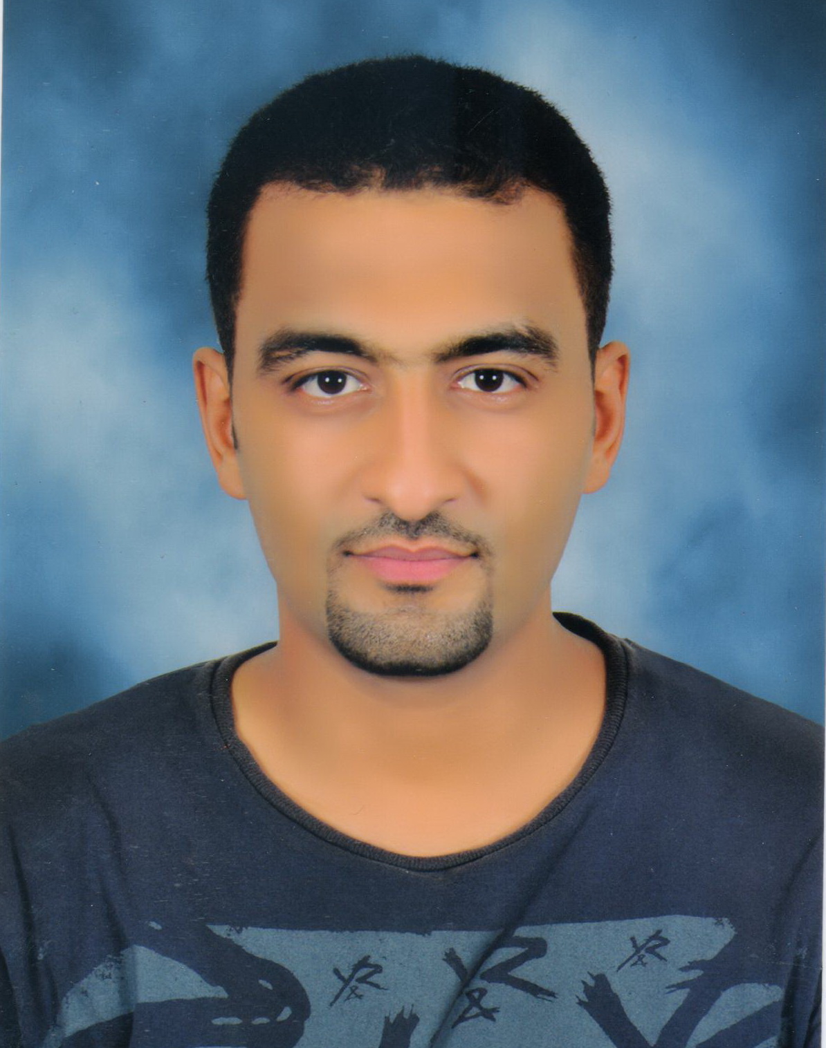 omar badr, anisson - project manager