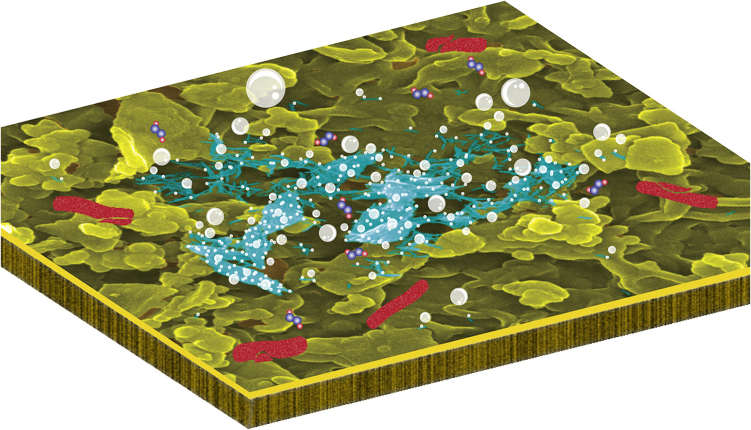 Eliminating Fouling in Reverse Osmosis Membranes