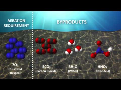 Aerobic Digestion - Basic Chemistry