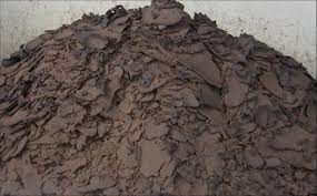 Increase Sludge Production